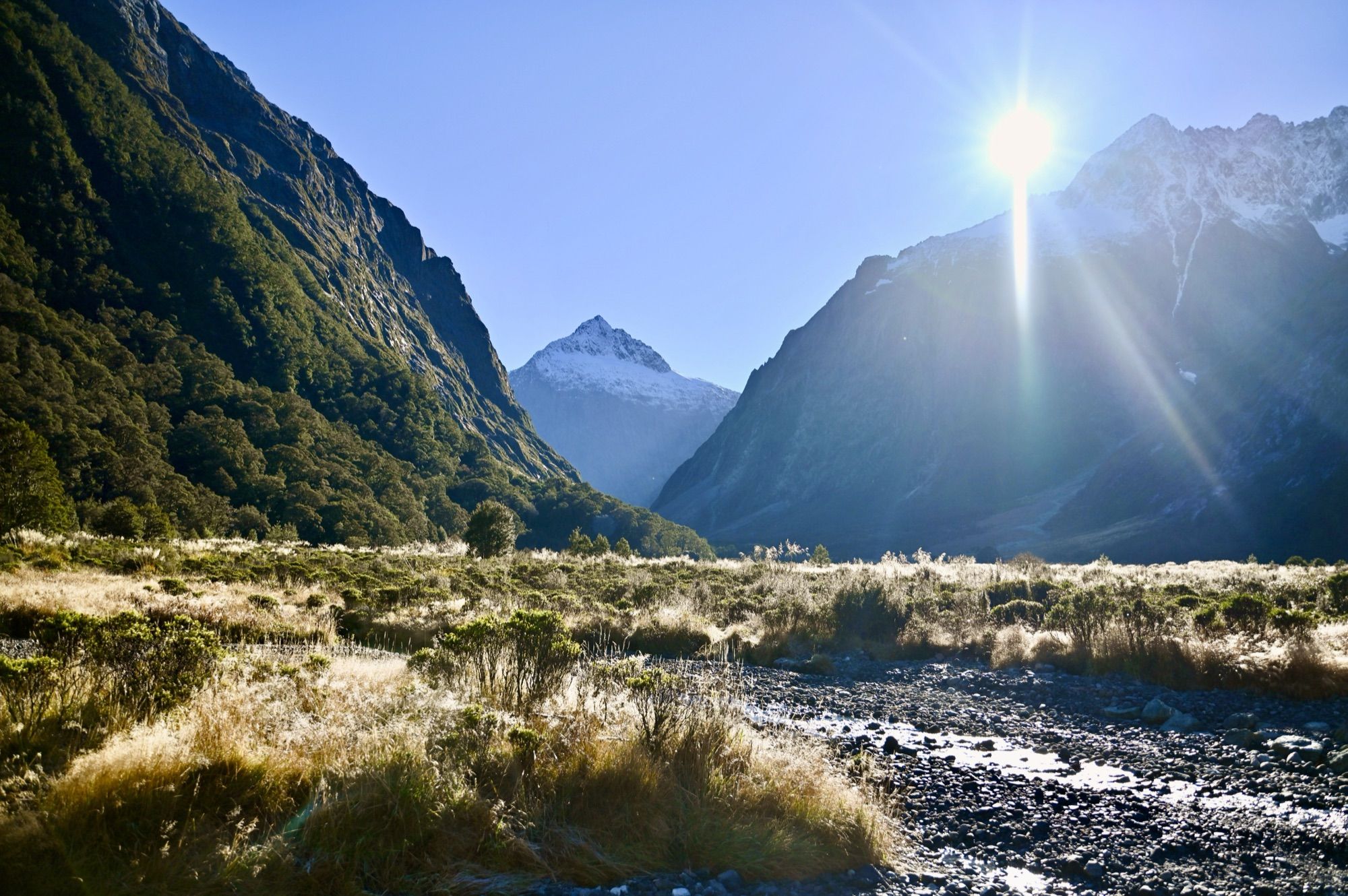 A sunlit alpine valley of tussock and a rocky stream bed, with a snow-capped peak between steep mountains.