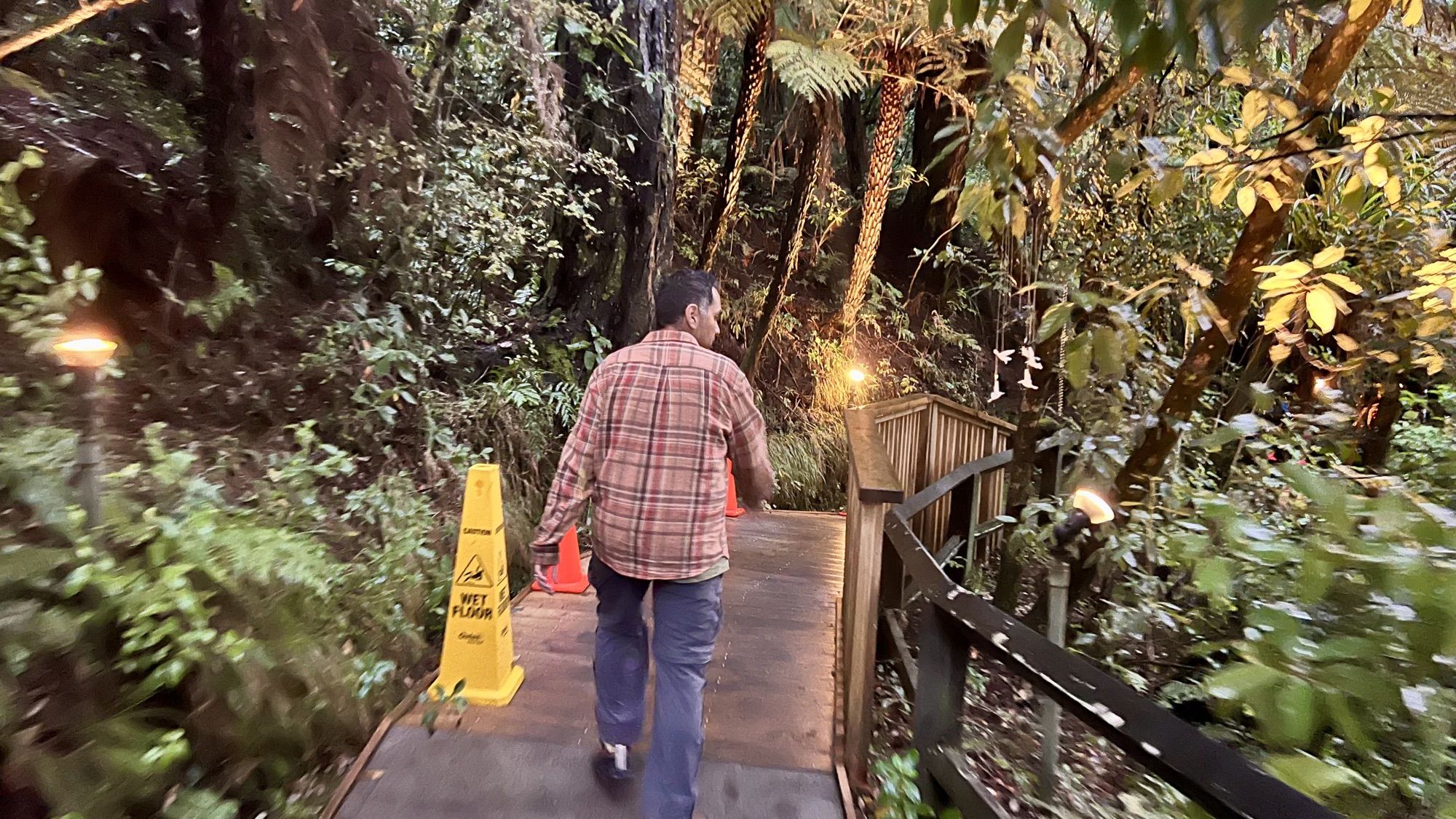 His dad walking down a lantern-lit wooden boardwalk through dense ferns and trees towards the cave entrance.