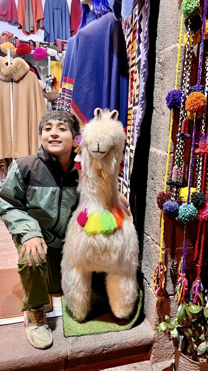 Boy sitting next to a stuffed toy llama in a shop full of textiles