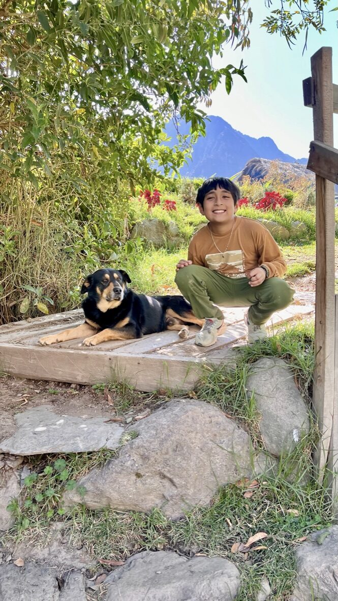 Boy and a dog relaxing on the grass at the hotel’s farm
