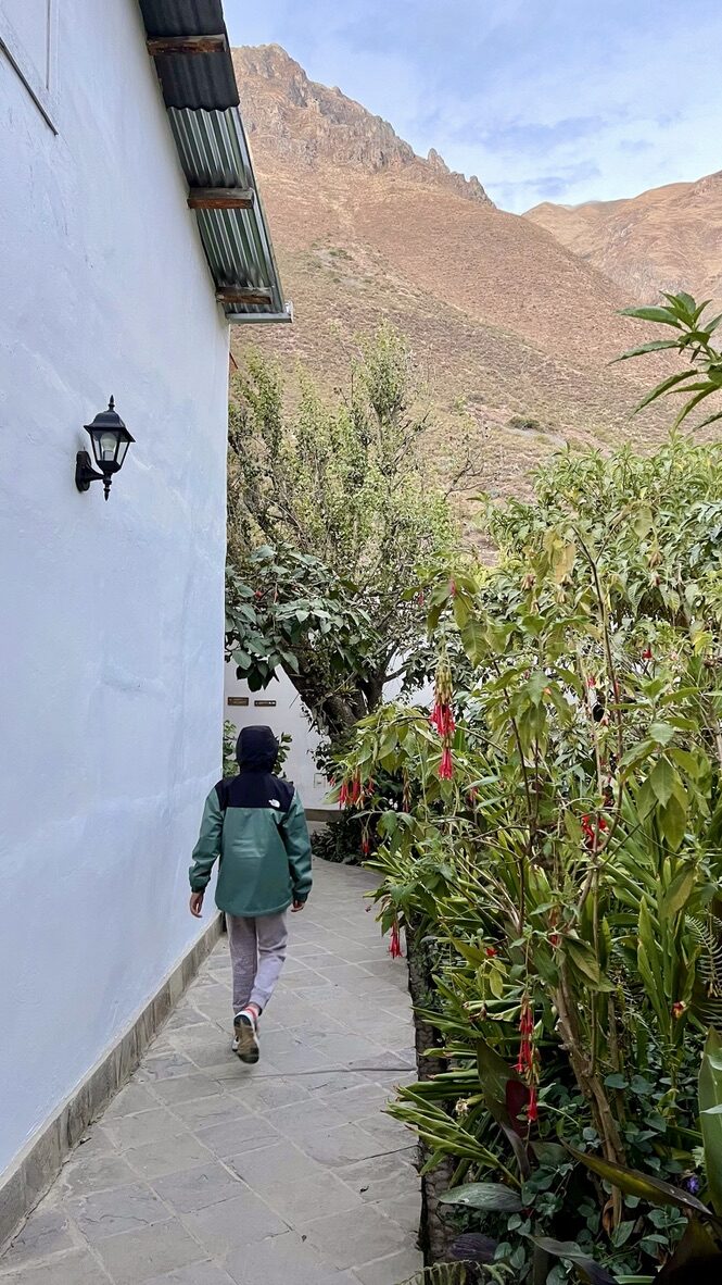 Boy walking along a whitewashed path between the hotel and the mountains