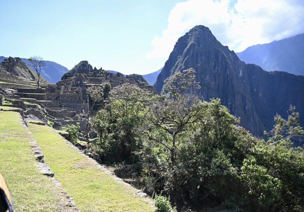 Grassy terraces with the peak of Huayna Picchu behind