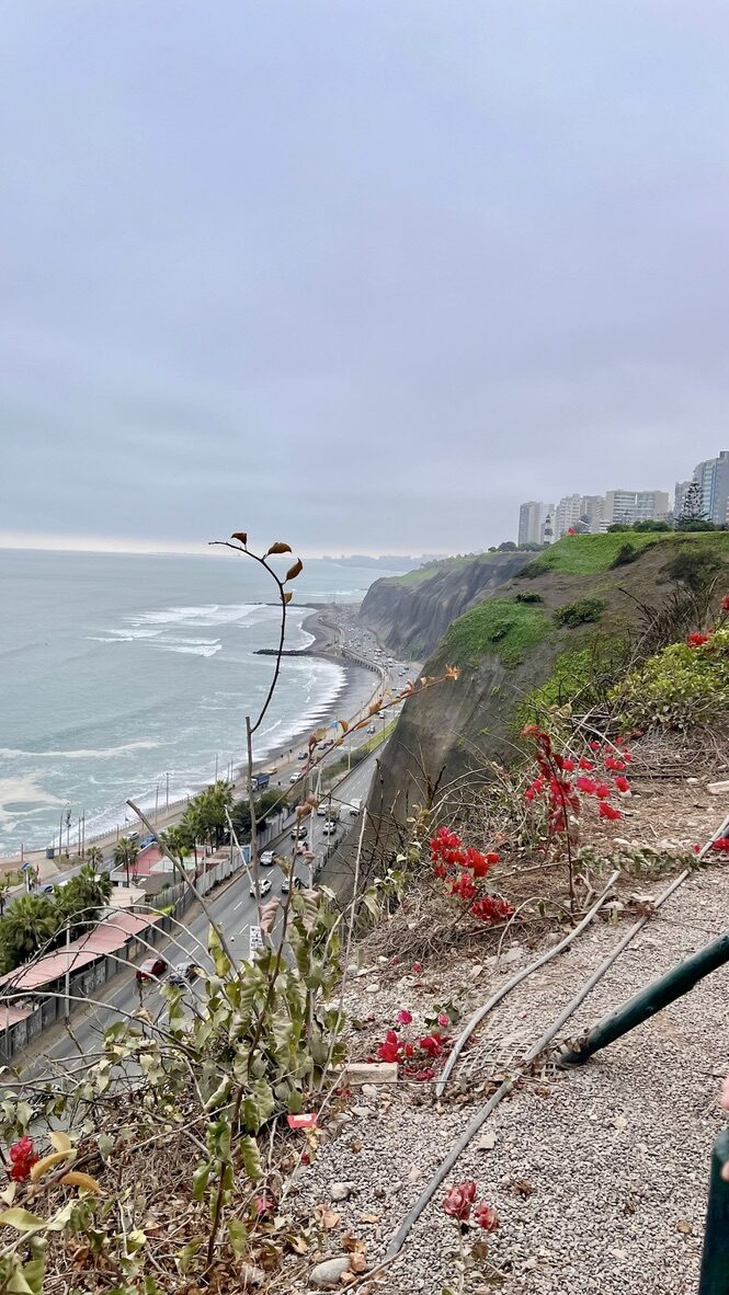The ocean and coastline seen from the clifftop by Love Park