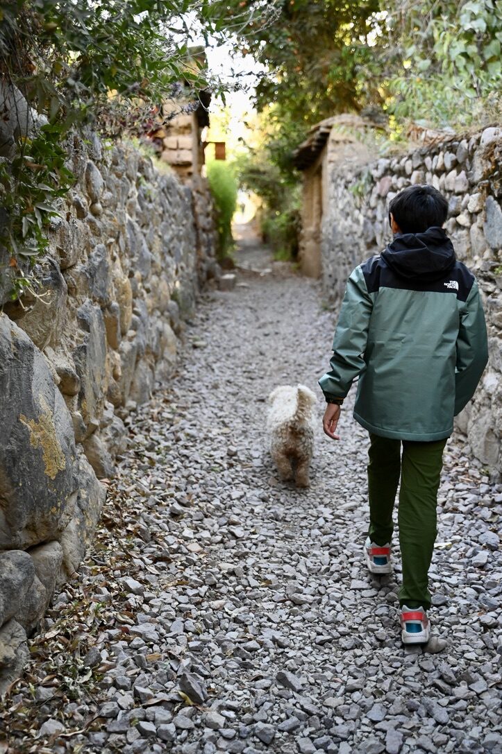 Boy walking along a stone-walled lane with a small dog