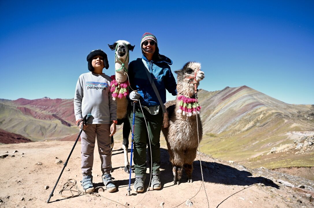 Boy and woman posing with two decorated alpacas, with red and green striped mountains behind