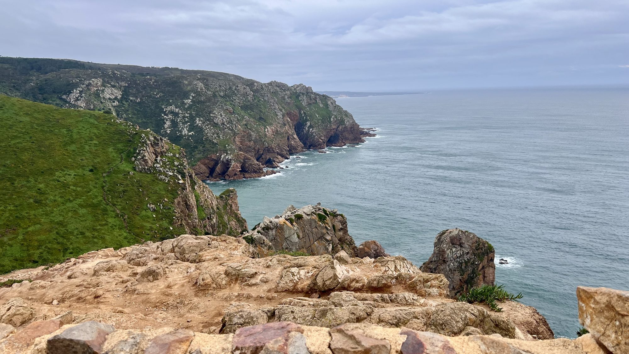 Rugged green cliffs dropping into a grey sea, seen from the rocky viewpoint.