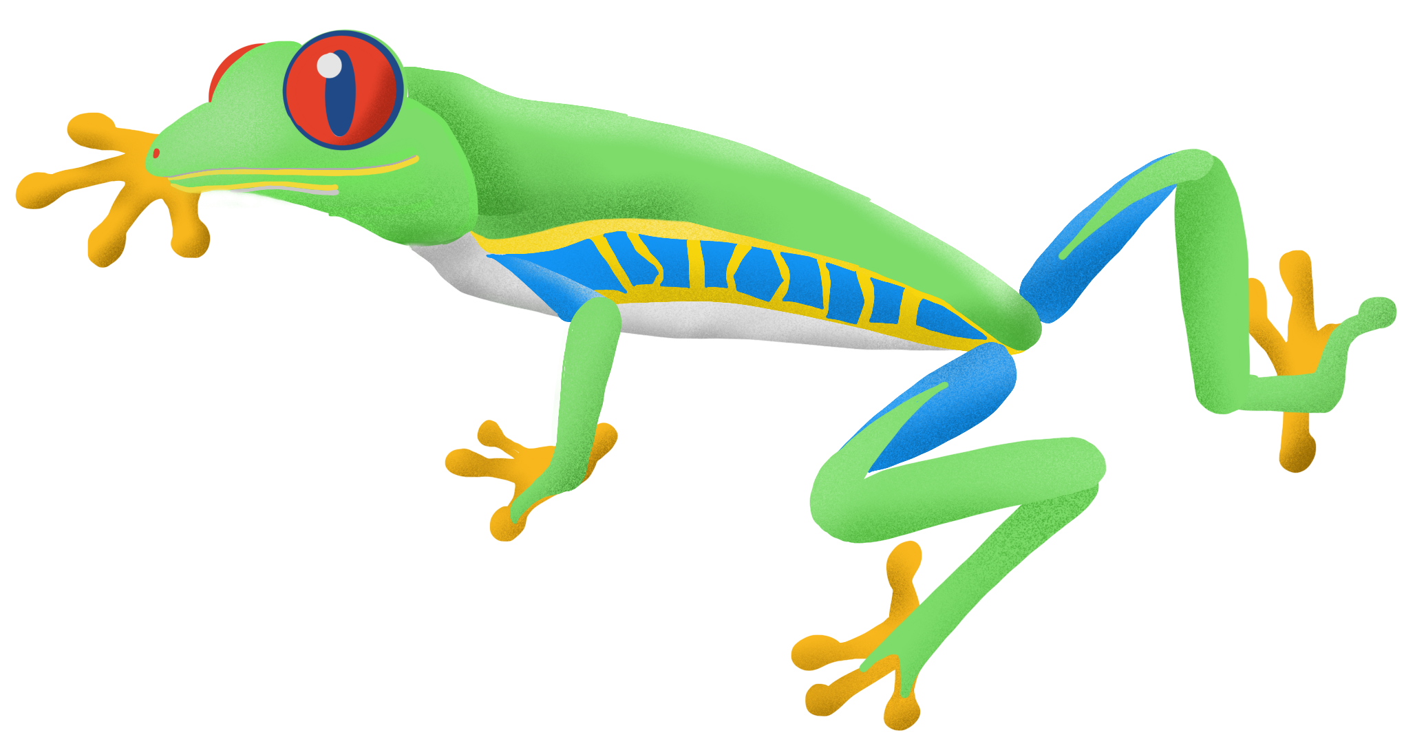 tnf frog logo